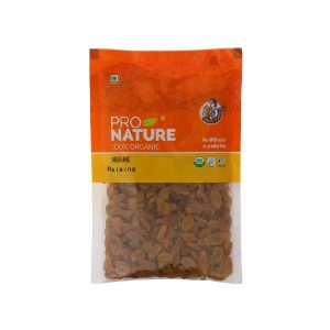 Pro Nature 100% Organic Raisins-100gm