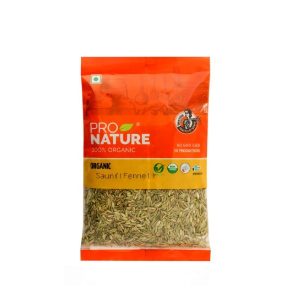 Pro Nature 100% Organic Saunf(Fennel)-100gm