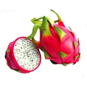 Dragon Fruit/డ్రాగన్ ఫ్రూట్-1Pc