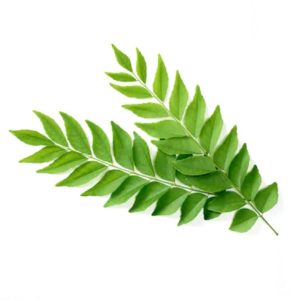 Curry Leaves/కరివేపాకు-50gm